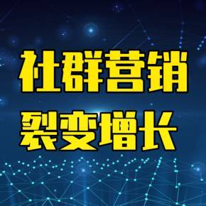 裂變增長與社群營銷 企業營銷策劃實戰指南